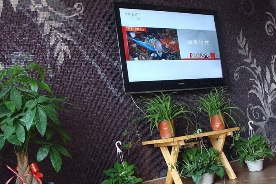 法式清新室内装饰 浪漫自然小清新