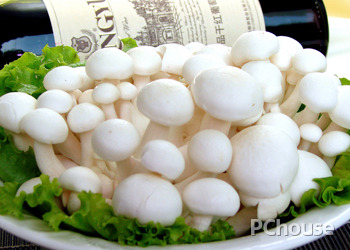 白玉菇的做法