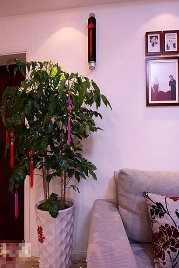 婚房设计 65平温馨小屋