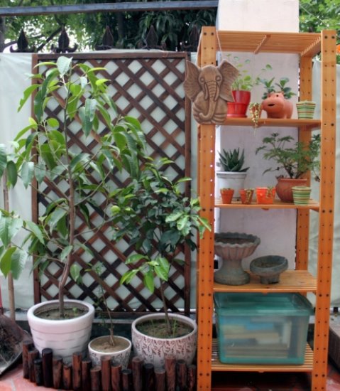 家居装修DIY 小户型田园家