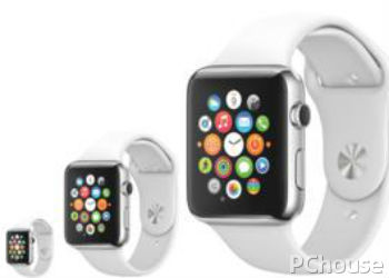 Apple Watch Herms