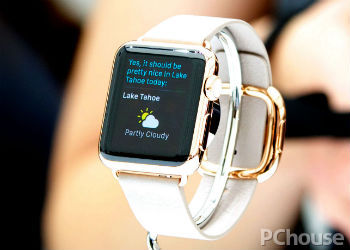 Apple Watch Editionô