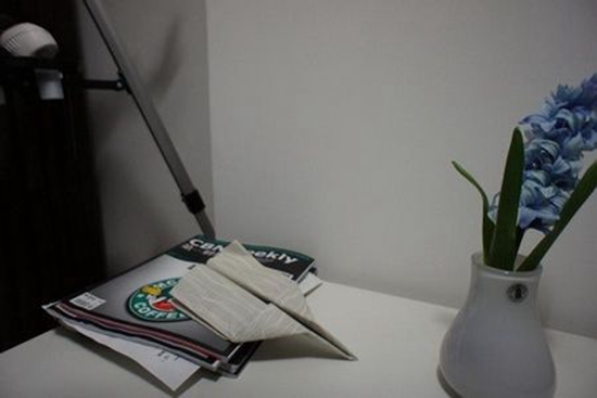 家居装饰 单身汉简单打造的LOFT家装