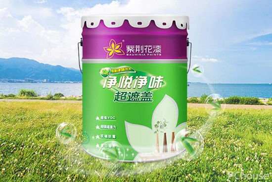 选择品牌油漆涂料必备技巧 环保涂料最新报价