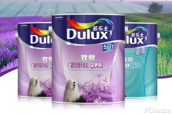 新房装修选择涂料注意要点 装修涂料品牌大全