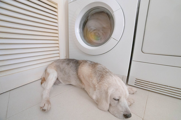 使用洗衣机时要注意什么 洗衣机怎么清洁