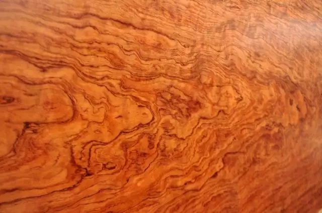 巴布亚贡木 纹理图片