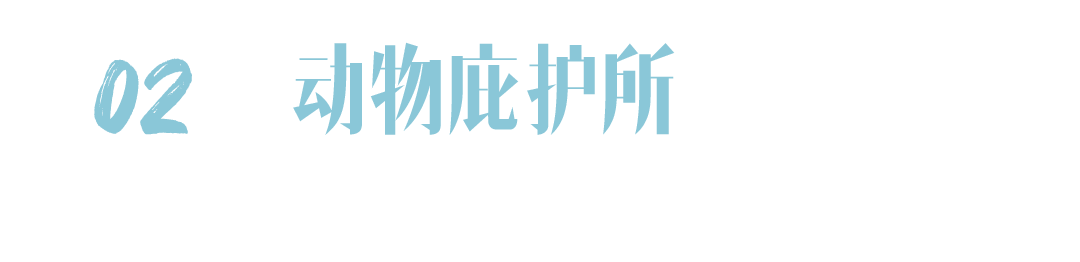 与你相遇的那一天，没想过要怎样告别