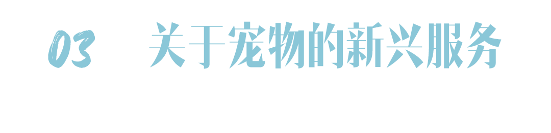 与你相遇的那一天，没想过要怎样告别