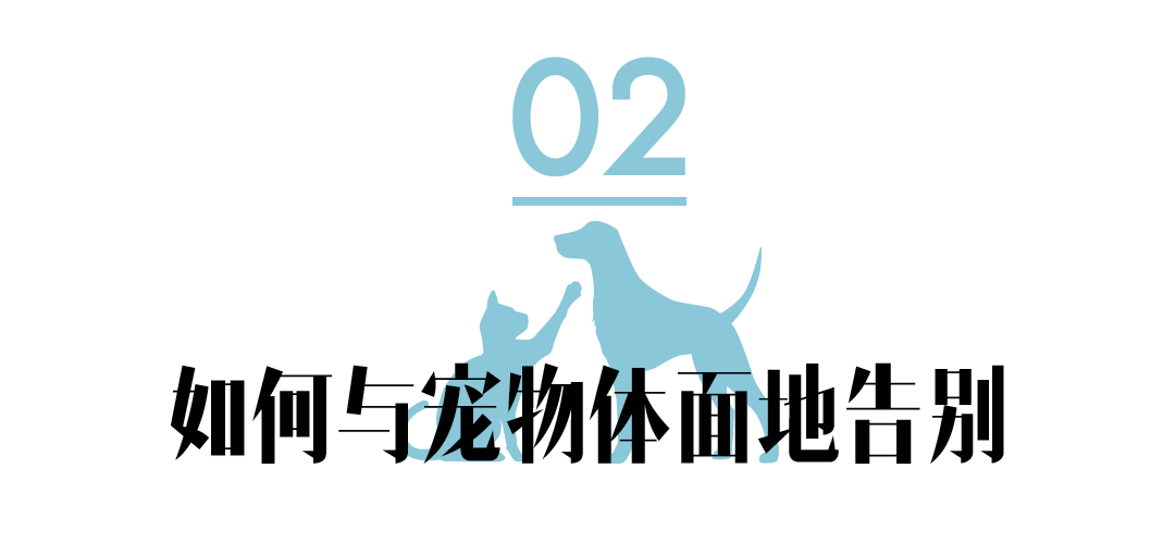 与你相遇的那一天，没想过要怎样告别