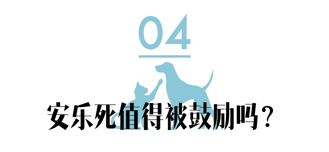 与你相遇的那一天，没想过要怎样告别