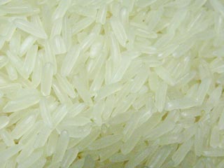 预防大米生虫的方法