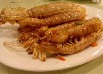琵琶虾的介绍