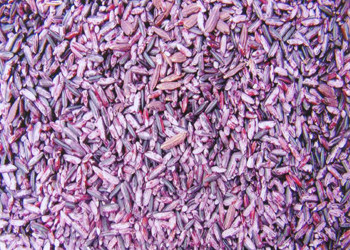 紫米和黑米的区别 紫米粥的做法 紫米的功效 家居百科 太平洋家居网