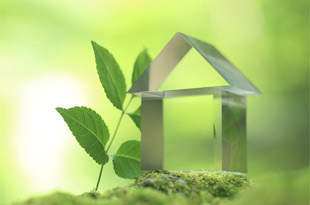 低碳环保大势所趋 TA们帮你轻松打造绿色家居